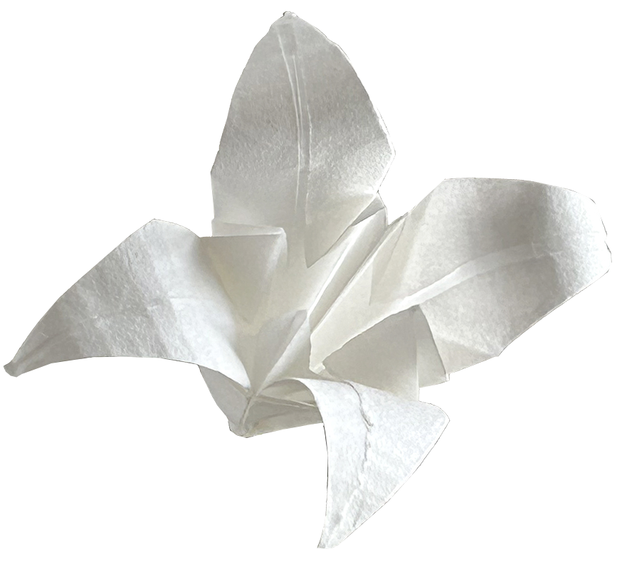 Folding paper creation, showing a white lily flower.